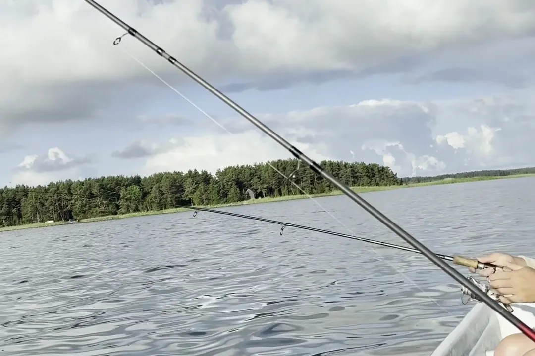 Paadisõit Vilsandile, õng üle parda, taamal metsaga kallas